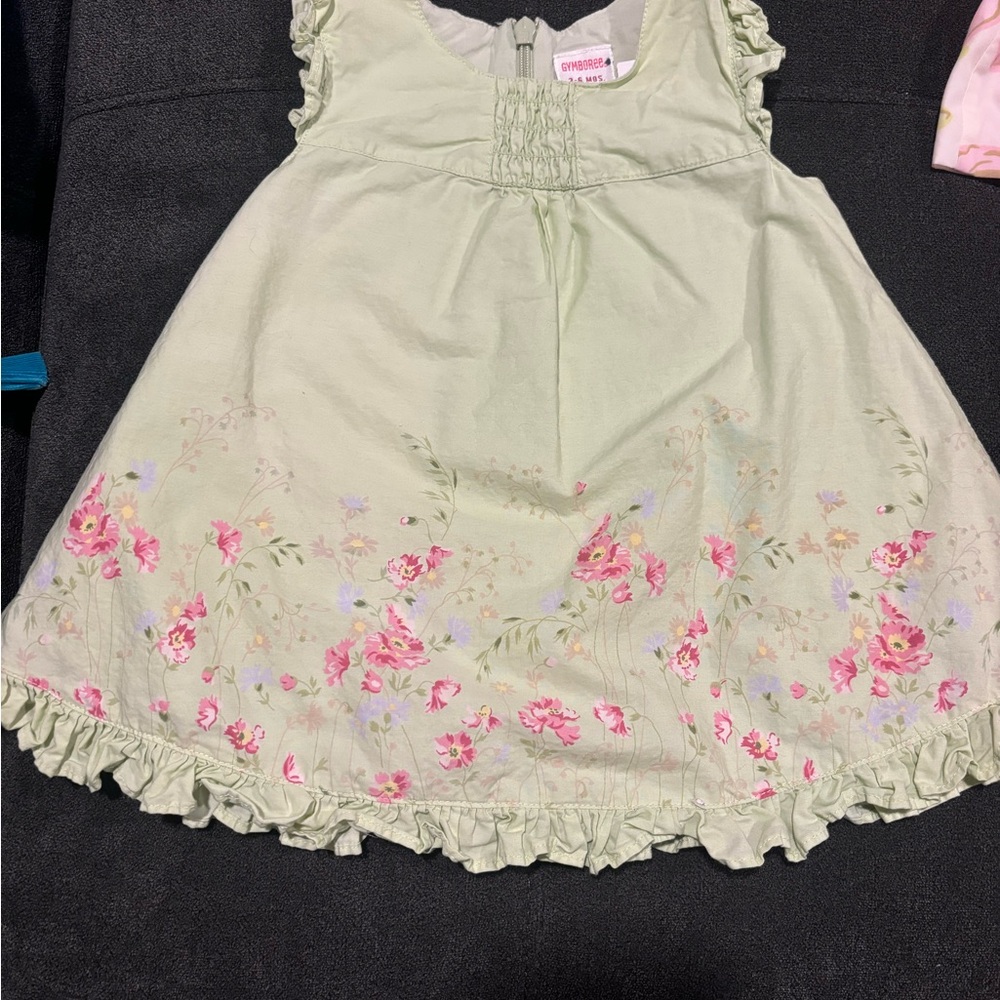 VINTAGE Gymboree Girls' Light Green Floral Ruffle Dress